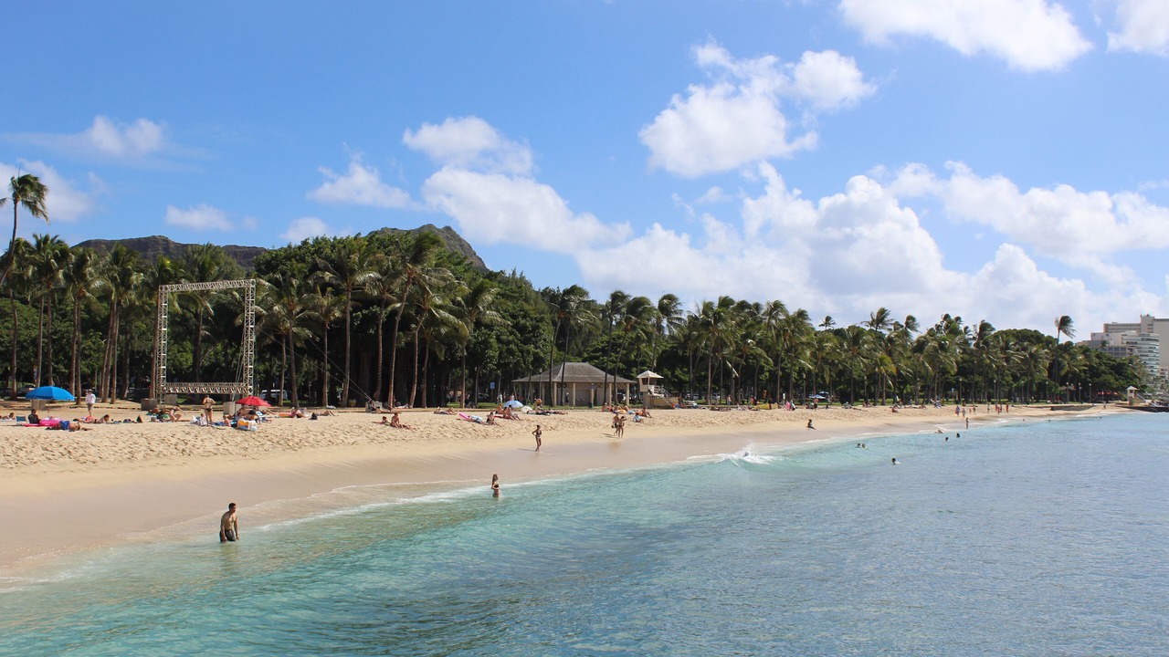 Photo of Others in Diamond Head - Kapahulu - St. Louis