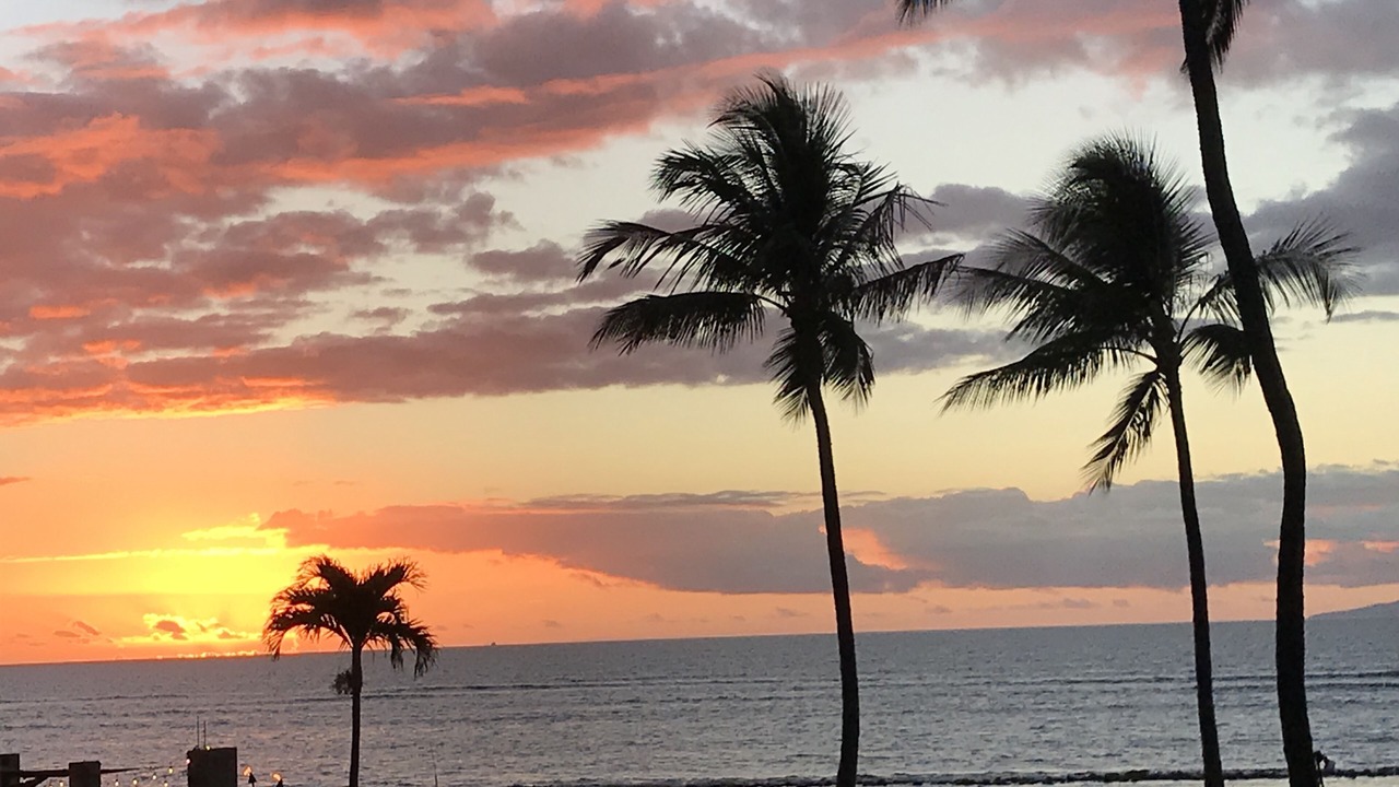 Photo of Others in Kihei