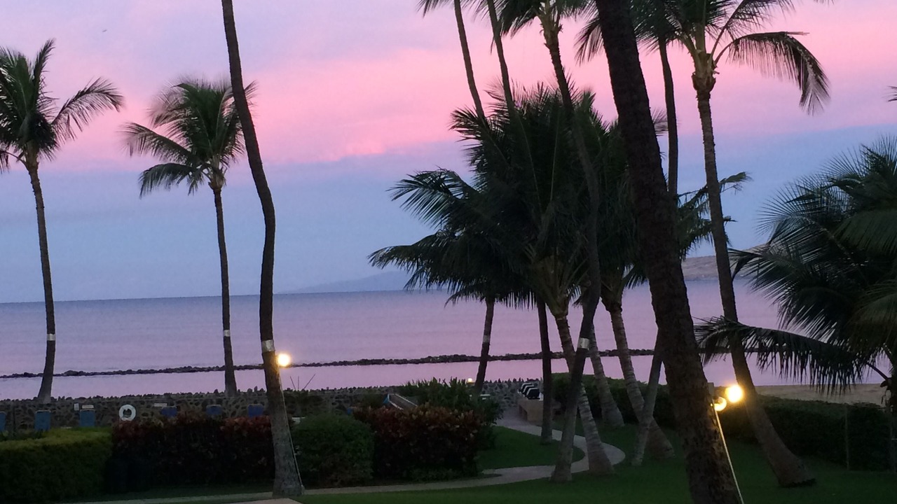 Photo of Others in Kihei