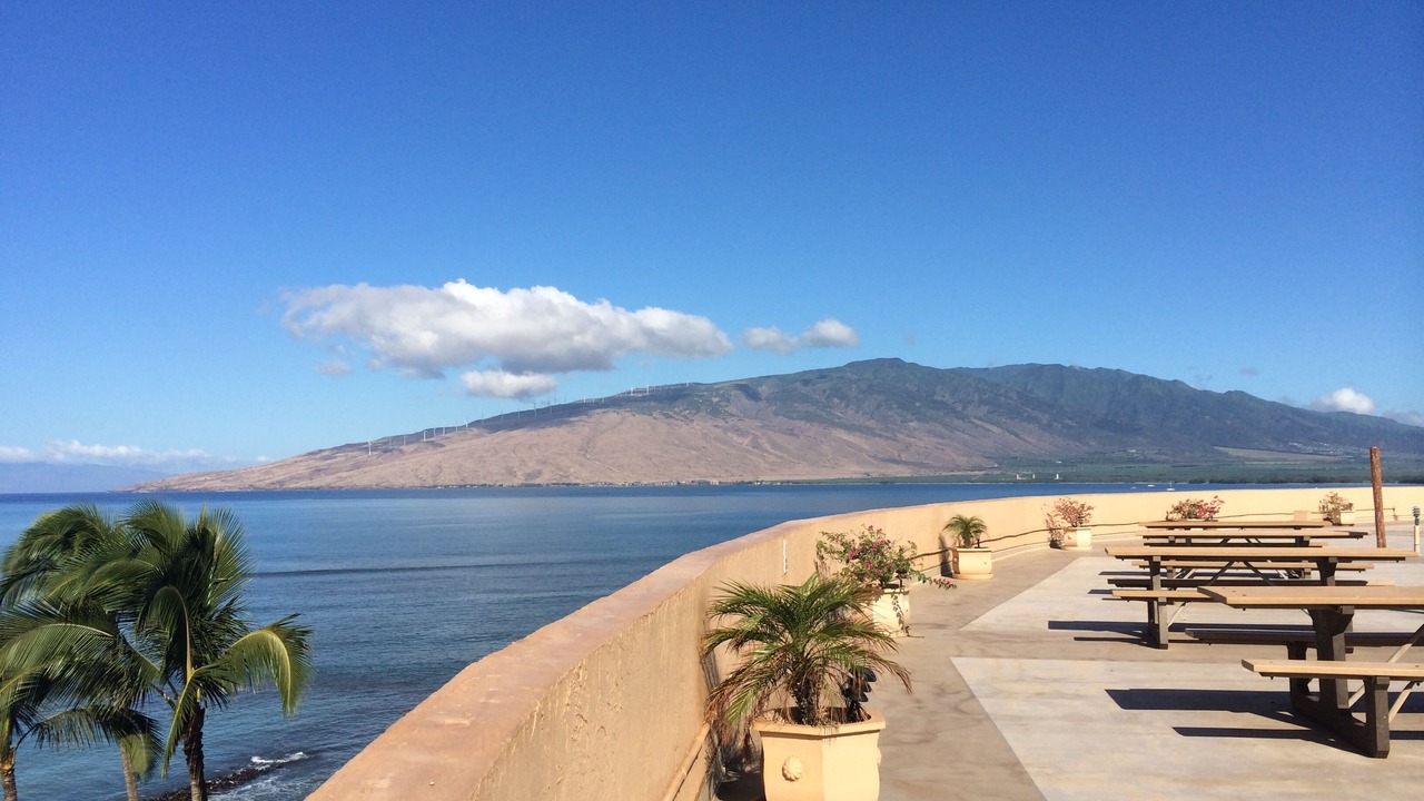 Photo of Others in Kihei