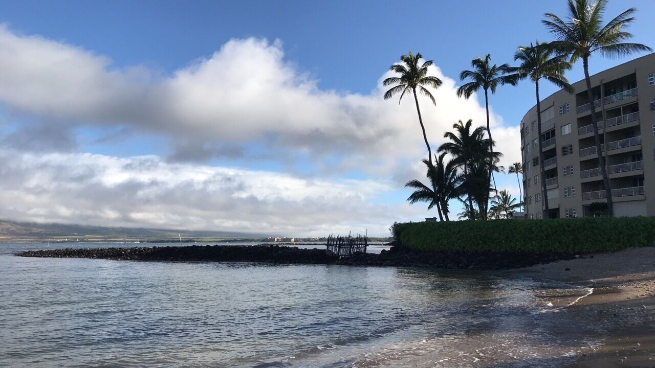 Photo of Others in Kihei