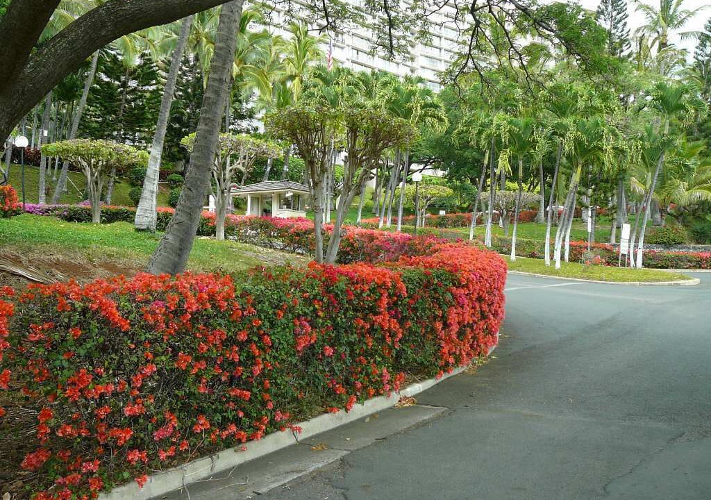 Photo of Outdoor in Makaha