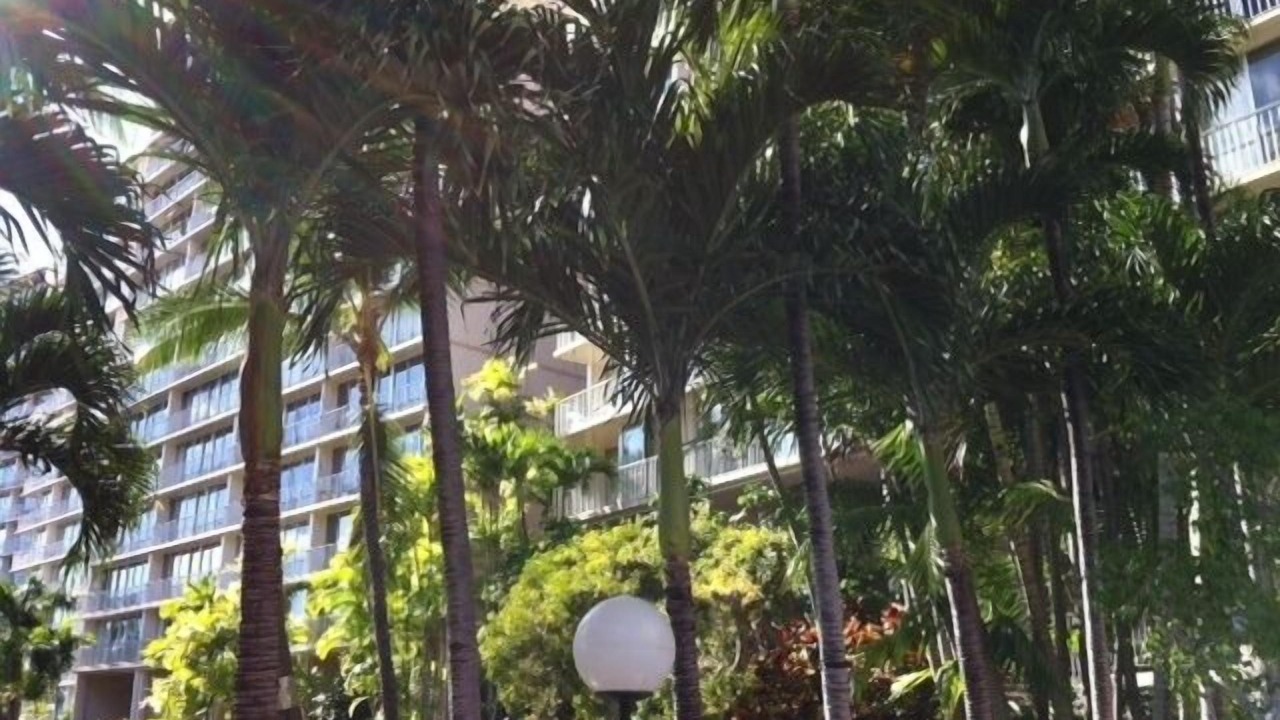 Photo of Outdoor in Makaha