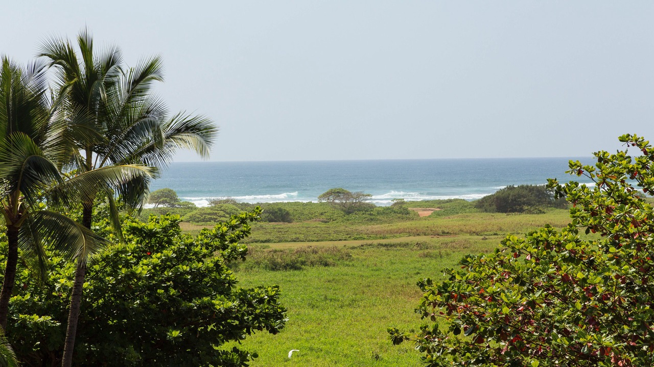 Photo of Others in Hanamaulu