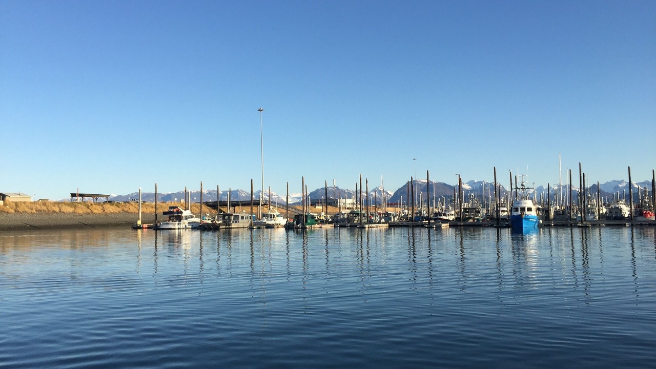 Photo of Others in Homer