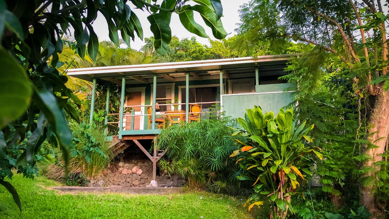 Photo of Outdoor in Kealakekua