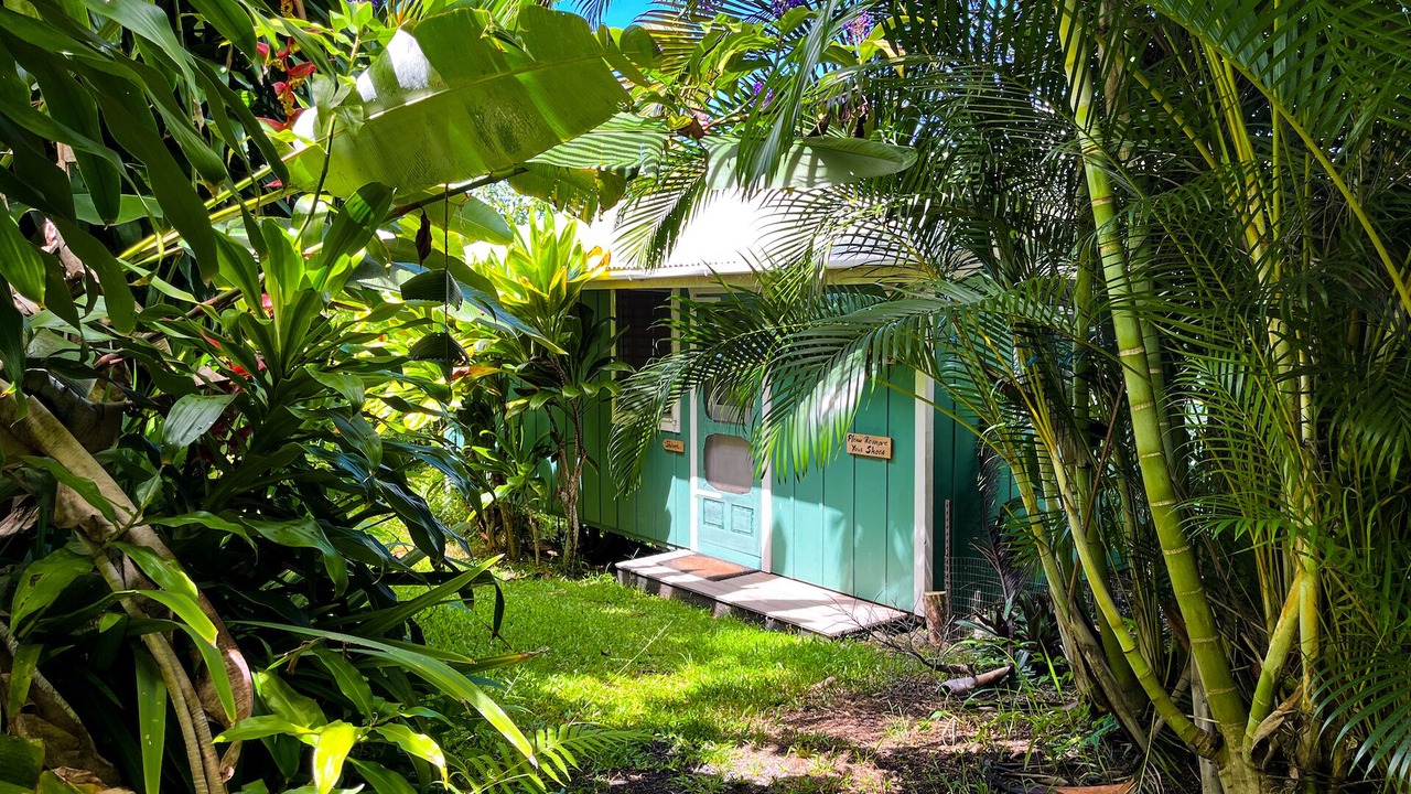 Photo of Outdoor in Kealakekua