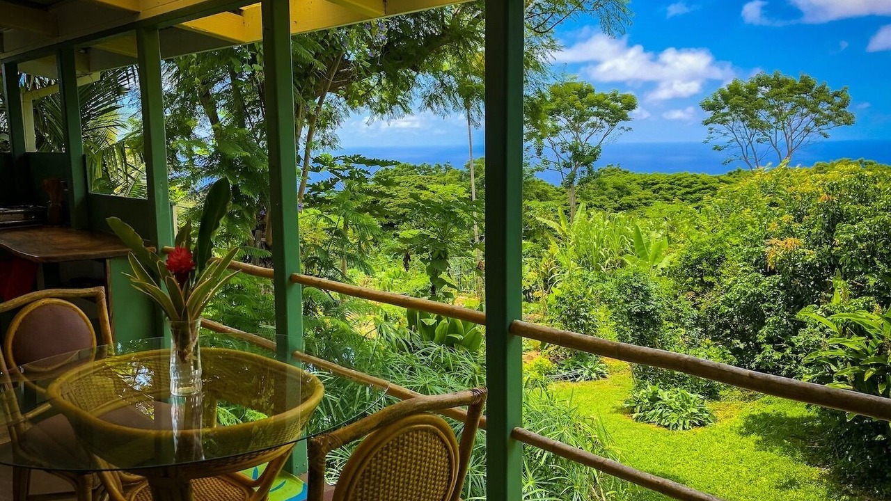 Photo of Outdoor in Kealakekua