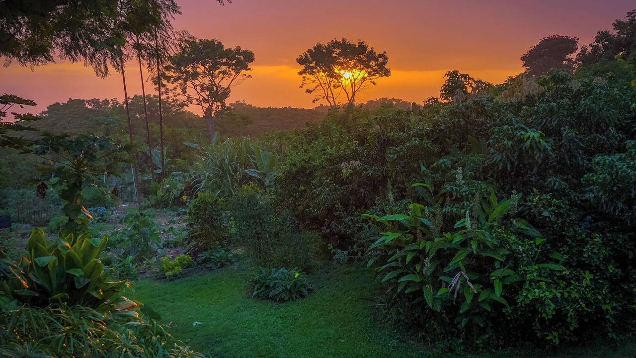 Photo of Others in Kealakekua