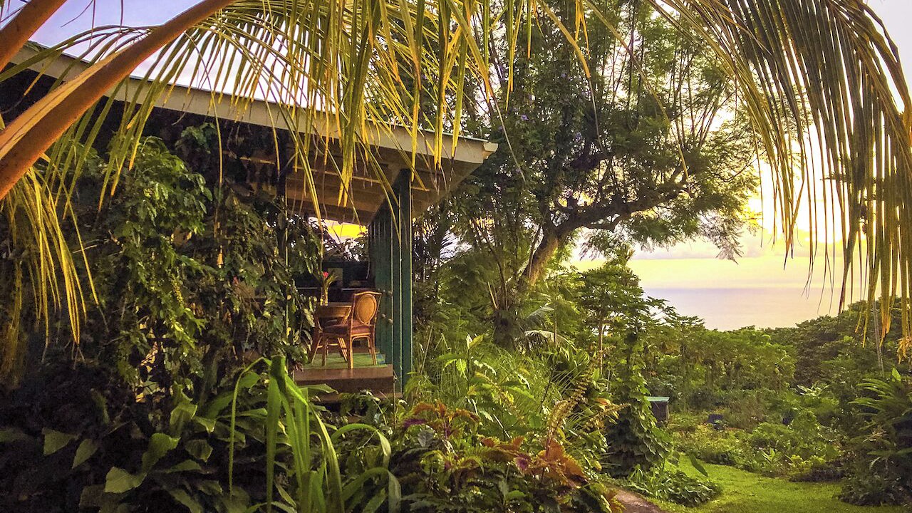 Photo of Outdoor in Kealakekua