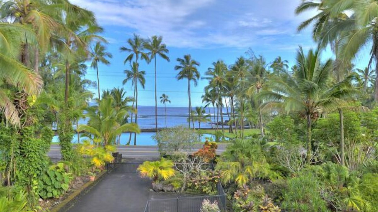Photo of Others in Hilo