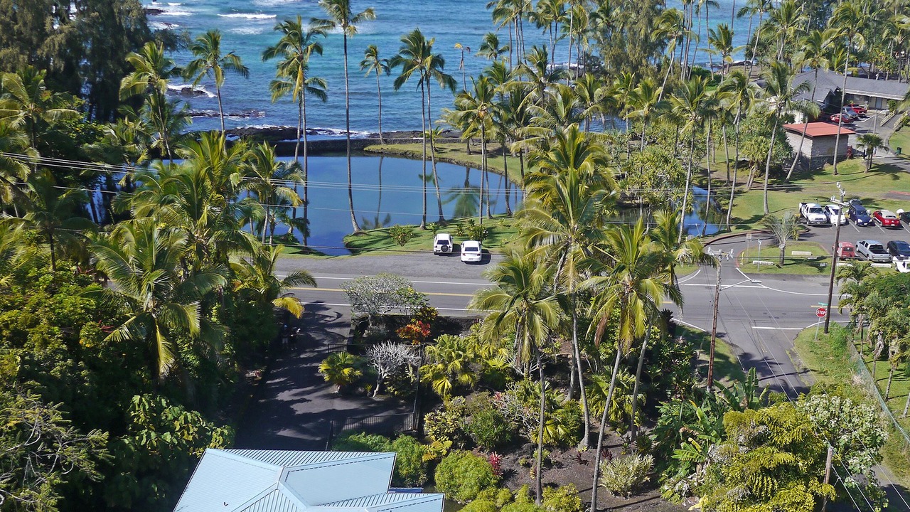 Photo of Others in Hilo