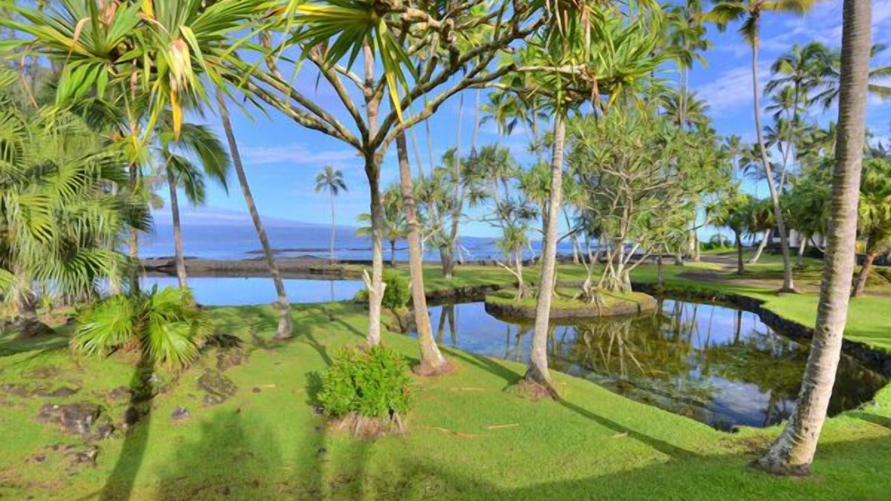 Photo of Others in Hilo