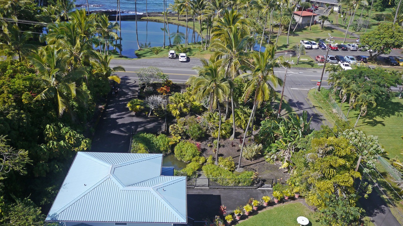 Photo of Others in Hilo