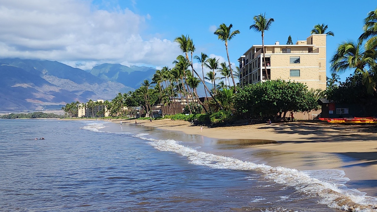 Photo of Others in Kihei