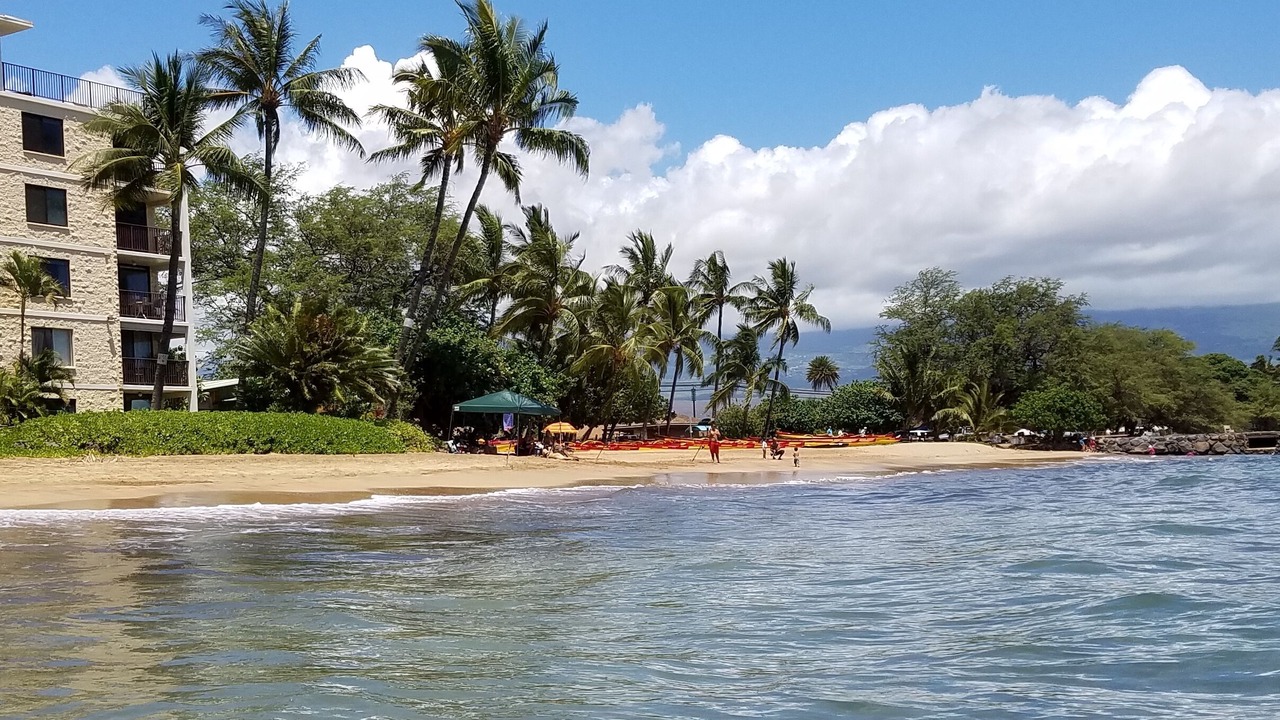 Photo of Others in Kihei