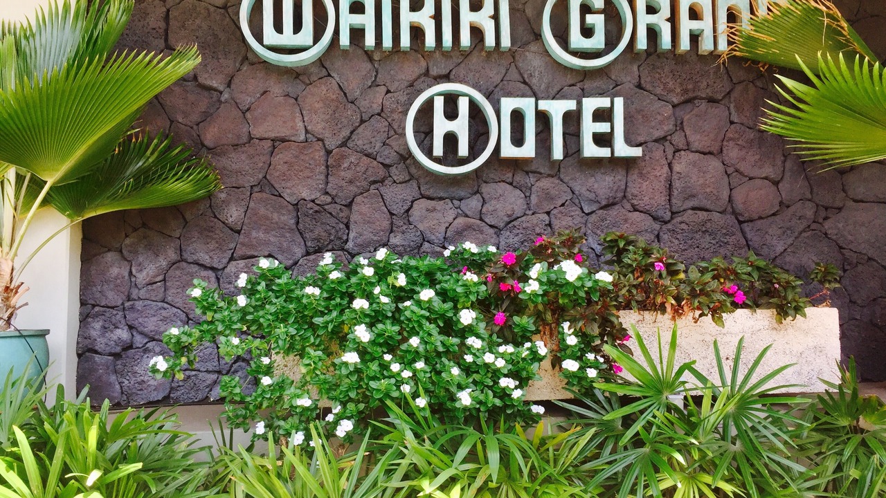 Photo of Outdoor in Waikiki