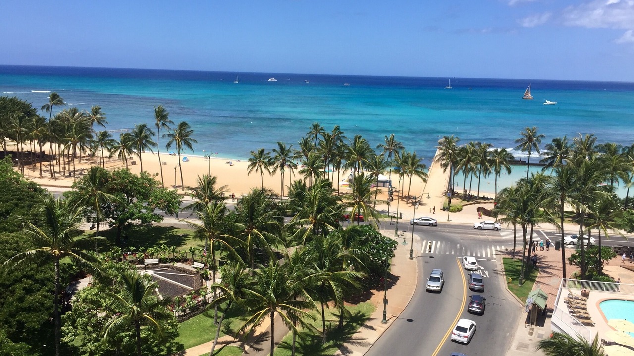 Photo of Others in Waikiki