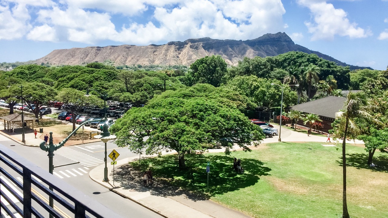 Photo of Others in Waikiki