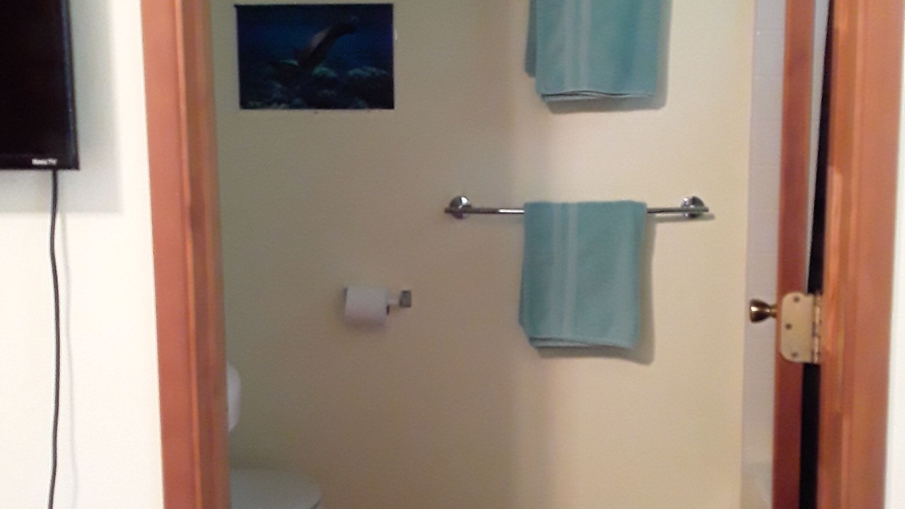 Photo of Bathroom in Kapoho
