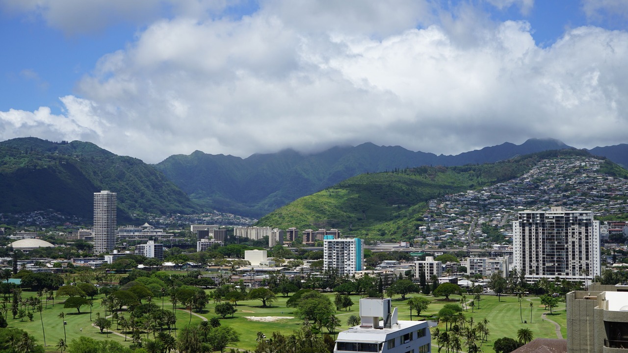 Photo of Others in Waikiki
