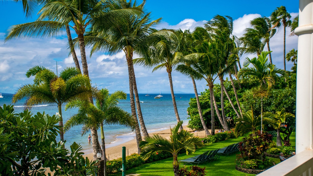 Photo of Others in Historic Lahaina Front Street