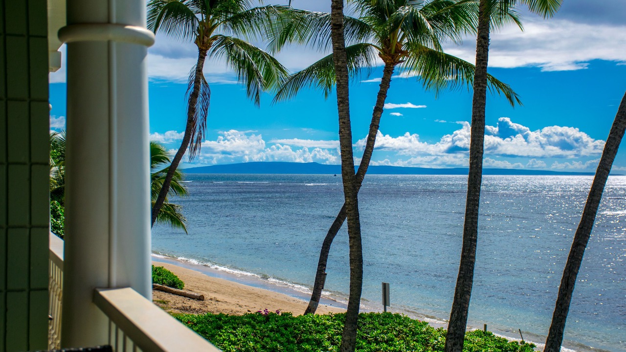 Photo of Others in Historic Lahaina Front Street