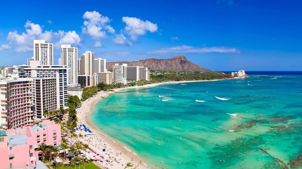 Photo of Others in Waikiki