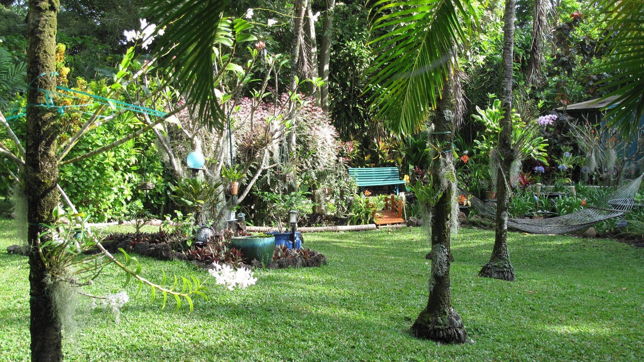 Photo of Others in Wainiha