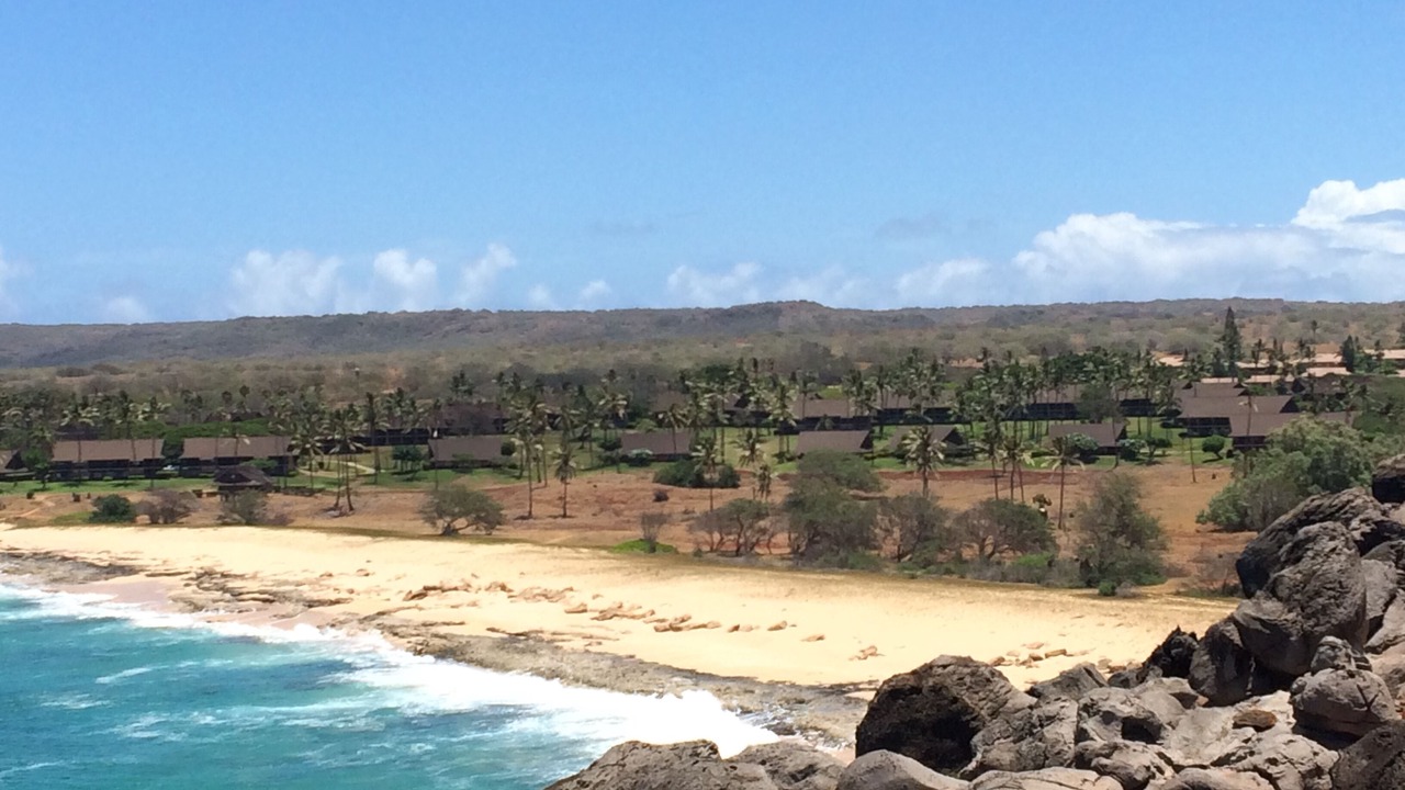 Photo of Others in Maunaloa