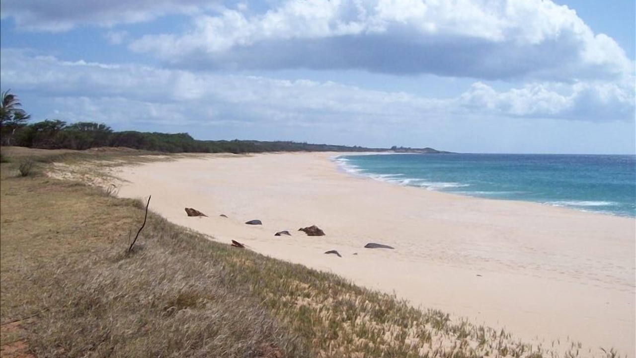Photo of Others in Maunaloa