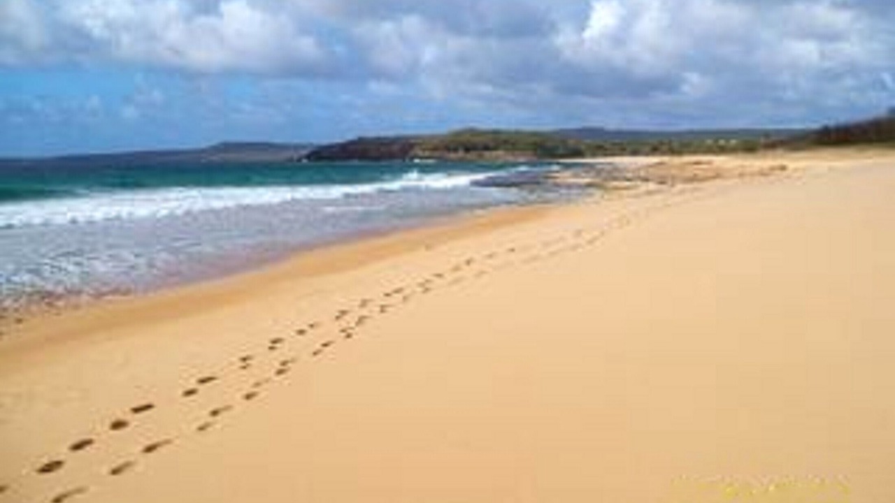 Photo of Others in Maunaloa