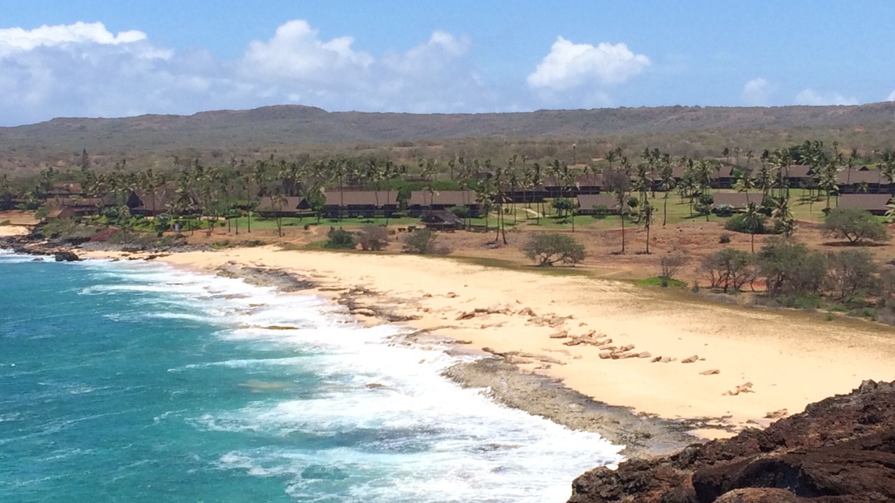 Photo of Others in Maunaloa