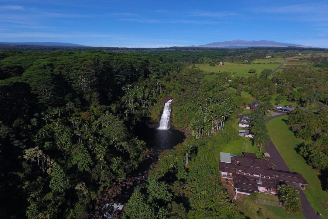 Photo of Others in Hilo