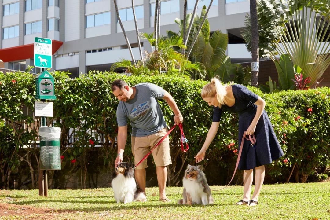 Photo of Others in Western Honolulu