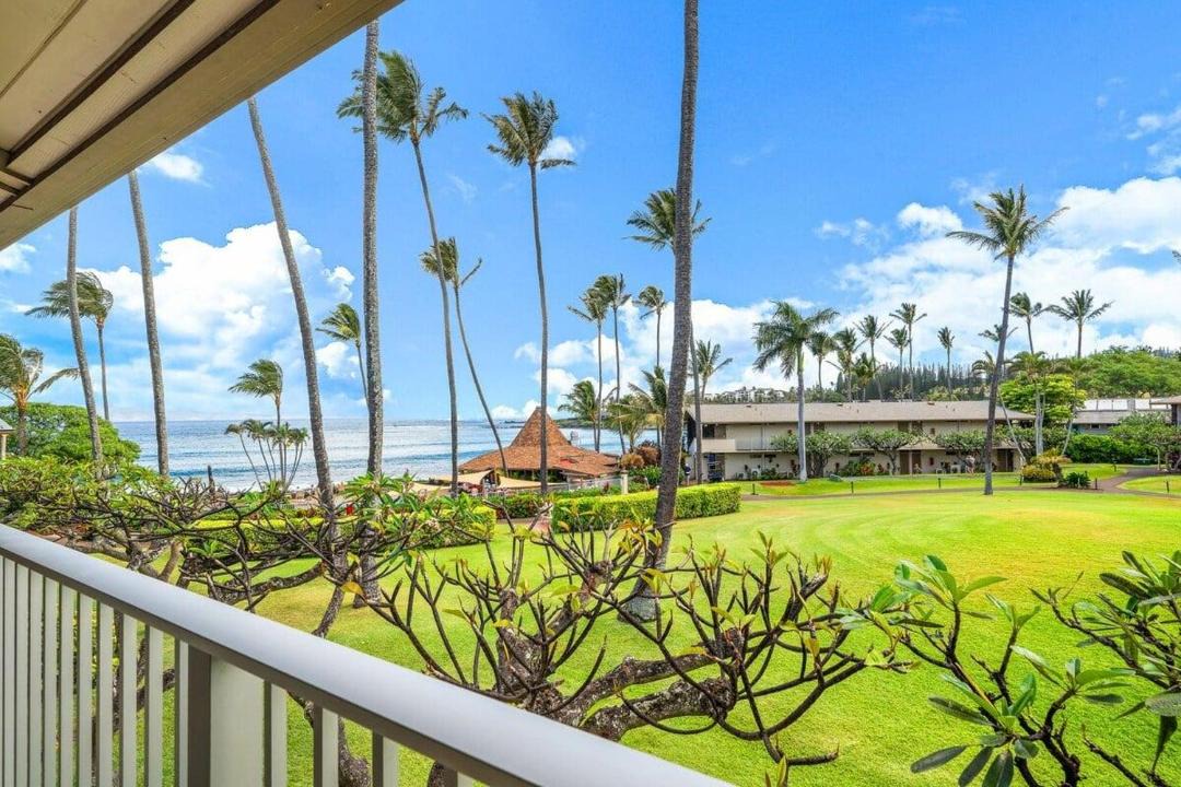 Photo of Others in Napili