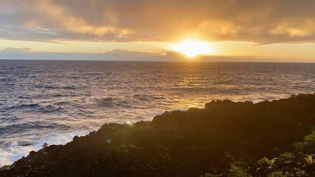 Photo of Others in Kapoho