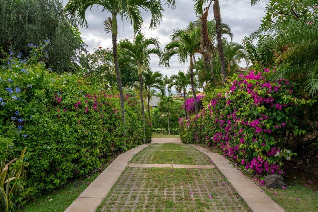 Photo of Others in Wailea