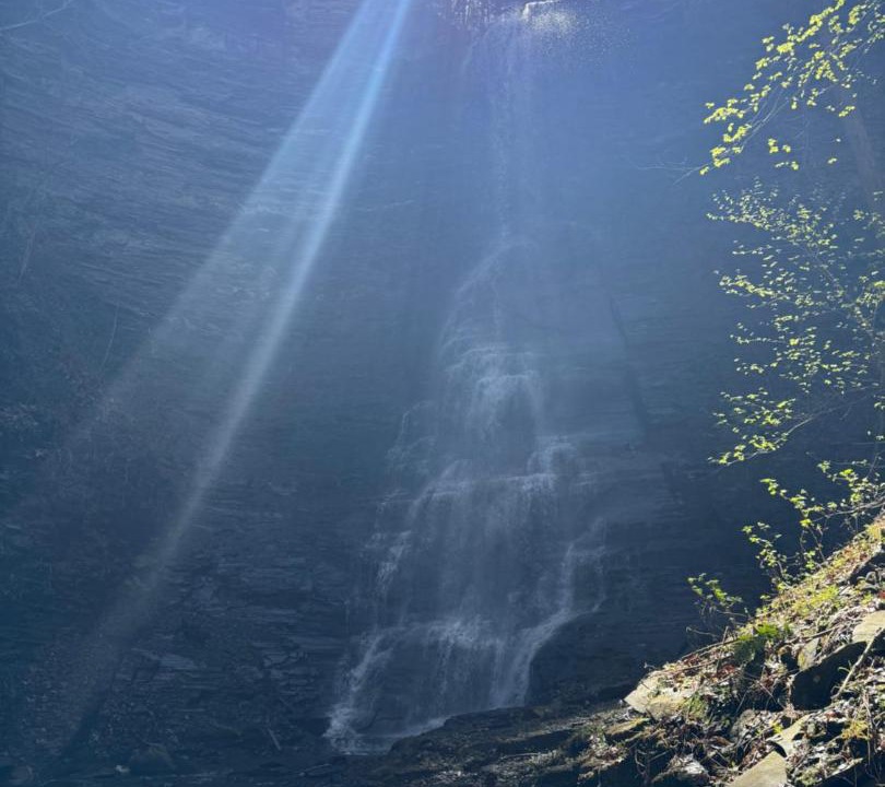 Photo of Others in Bristol Hills