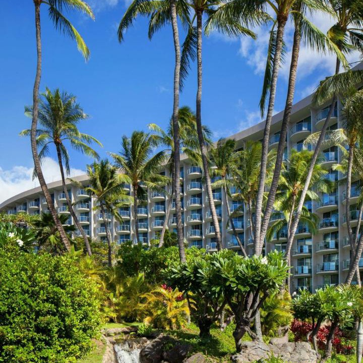 Photo of Others in Kaanapali