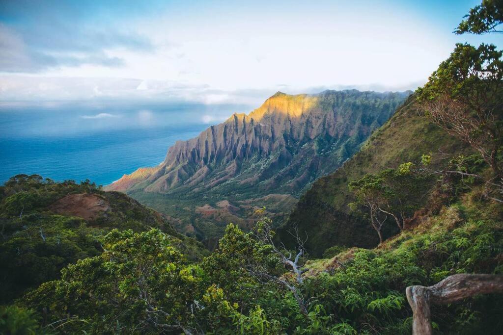 Photo of Others in Princeville
