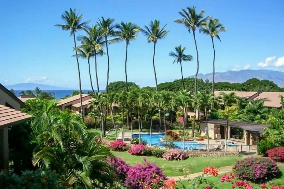 Photo of Others in Wailea