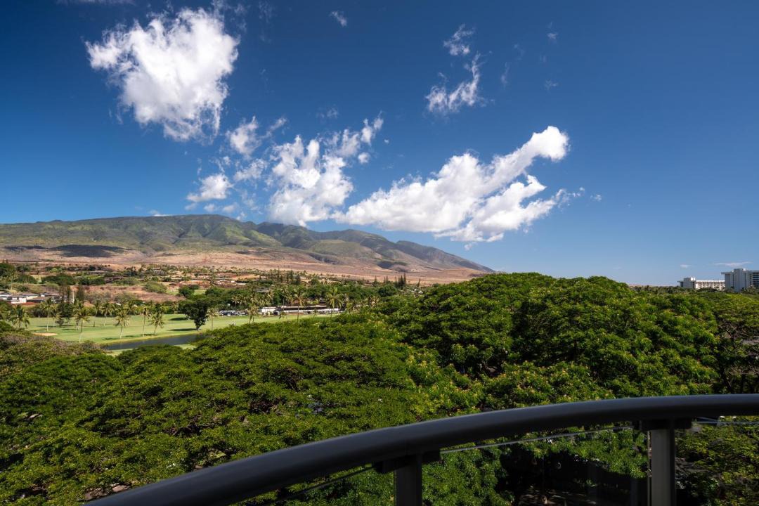 Photo of Others in Kaanapali