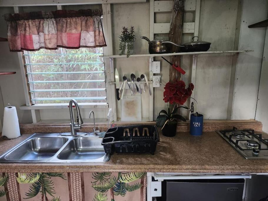 Photo of Kitchen in Fern Forest