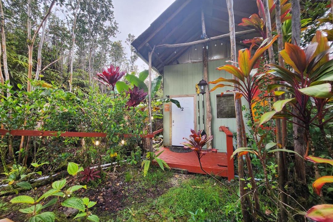 Photo of Others in Fern Forest