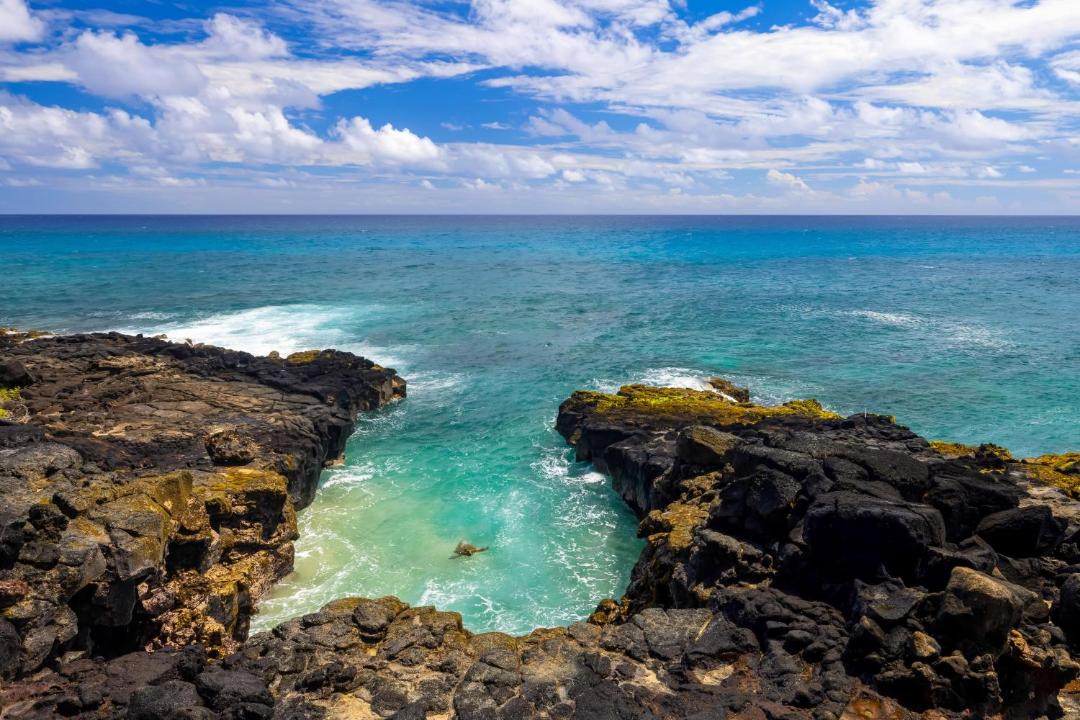 Photo of Others in Koloa