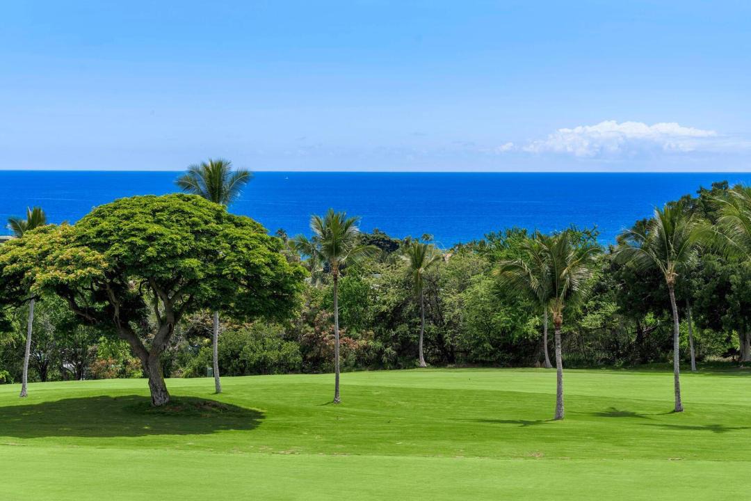 Photo of Others in Keauhou