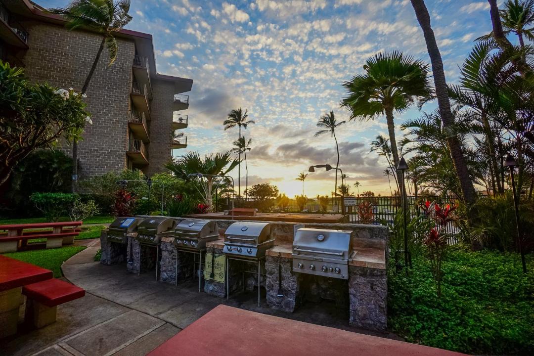 Photo of Others in Kihei