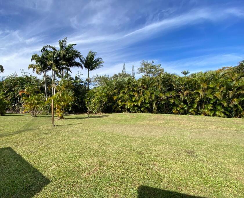 Photo of Others in Leilani Estates