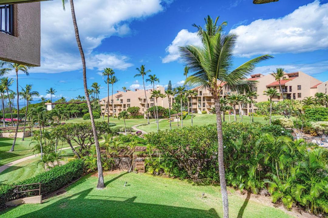 Photo of Others in Kihei